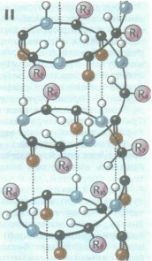 Вторичная структура белков