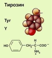 Тирозин